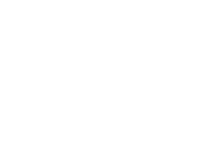 Onder metselwerk verstaan wij klein- schalige projecten zoals: Opnieuw intanden van scheuren. Uit-buikingen bij ankers. Afscheidingen. Tuin-muren. Binnenmuren. Buitenmuren.